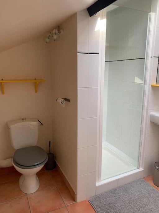 Maison 3 Chambres, Piscine, 2 Hectares De Jardin La Sauvetat-du-Dropt Eksteriør billede